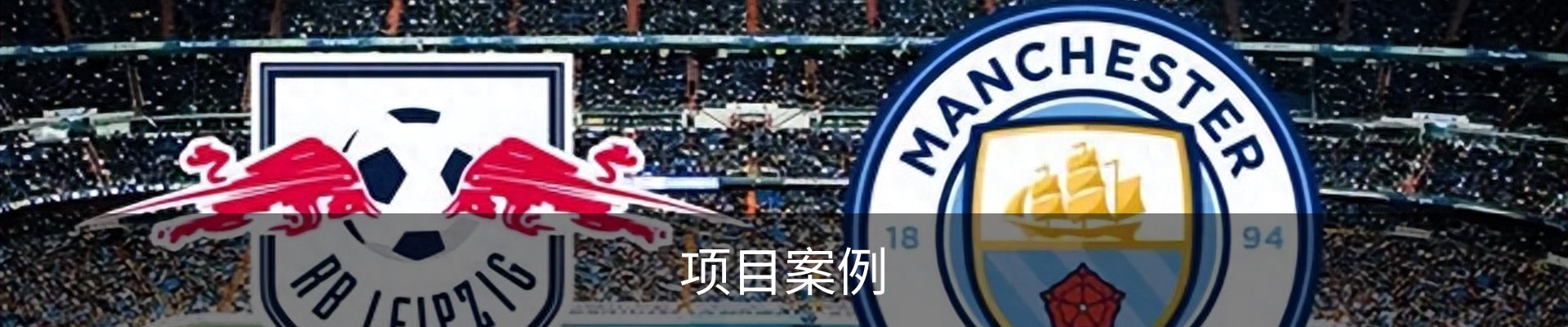 项目案例